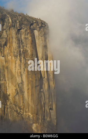 Les nuages de tempête le carénage de murs de granit d'El Capitan au coucher du soleil la vallée Yosemite Yosemite National Park California Banque D'Images