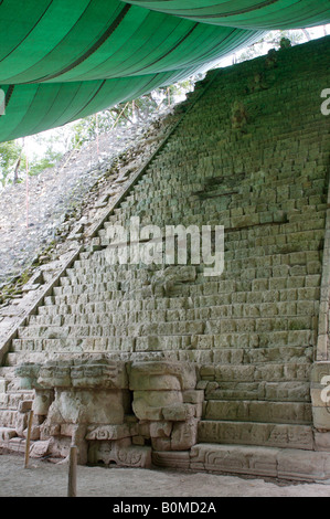 Les ruines de Copan site et parc dans Copan Honduras 03 Novembre 2006 Banque D'Images