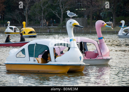 Tokyo, Japon. Ueno Park, près du centre-ville. Le lac de plaisance avec des pédalos en forme de cygnes pour voitures Banque D'Images