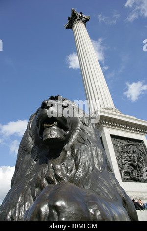 Ville de Londres, en Angleterre. L'un de Sir Edwin Henry Landseer conçu les lions au pied de la Colonne Nelson à Trafalgar Square. Banque D'Images