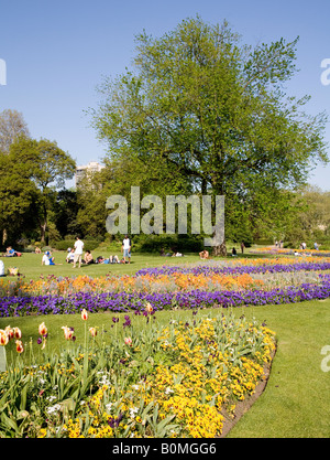 Fleurs de Printemps dans la région de Hyde Park London UK Europe Banque D'Images