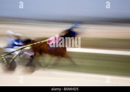 Course de sable et de cendre à Marsa racetrack, Trotters, les courses de chevaux, les courses de trot au Racing Club, hippodrome Rue, Marsa, Malte. Banque D'Images