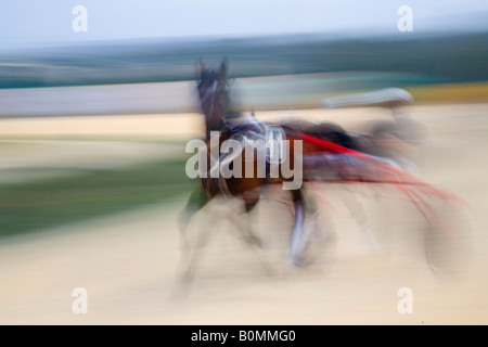 Course de sable et de cendre à Marsa racetrack, Trotters, les courses de chevaux, les courses de trot au Racing Club, hippodrome Rue, Marsa, Malte. Banque D'Images