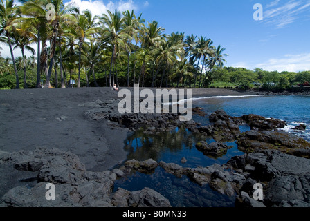 Plage de sable noir Punaluu (à partir de la lave volcanique), l'île d'Hawaii (Big Island), Hawaii, USA Banque D'Images