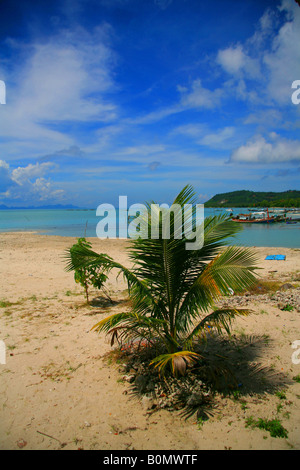 Plage de Koh Samui en Thaïlande Banque D'Images