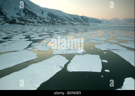 Flocons de glace en Billefjorden à Monte Carlo, région, la Norvège. Banque D'Images