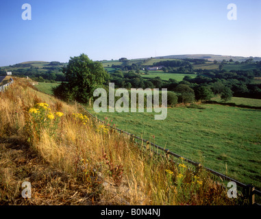 De beaux paysages dans la vallée de Teifi près de l'université et ville de marché de Lampeter Banque D'Images