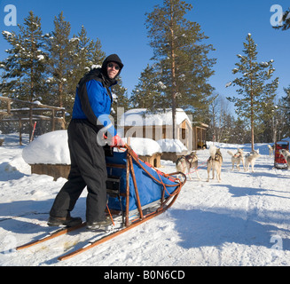 Un homme se tient sur un traîneau à un dogsledge tour avec huskies sibériens en Laponie winterly / le nord de la Suède Banque D'Images