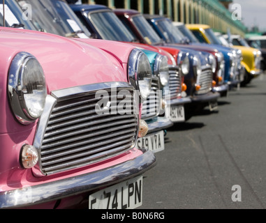 Minis alignés le long de la mer à Brighton après le 23e course Mini Londres à Brighton. 18 mai 2008. Banque D'Images