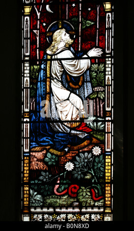 Vitraux de Clayton et Bell représentant Jésus dans le jardin de Gethsemane, église de St Fabian et Saint Sébastien, Woodbastwick, Norfolk Banque D'Images