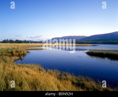 Vue pittoresque sur le Loch Insh dans la Spey Valley près de Aviemore Banque D'Images