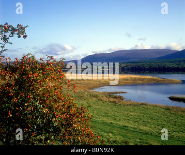 Vue pittoresque sur le Loch Insh dans la Spey Valley près de Aviemore Banque D'Images