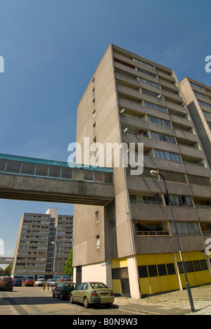 Grand angle vertical de Crozier House l'un des blocs constituant la tour Ferrier Estate dans Kidbrooke Park sur une journée ensoleillée. Banque D'Images