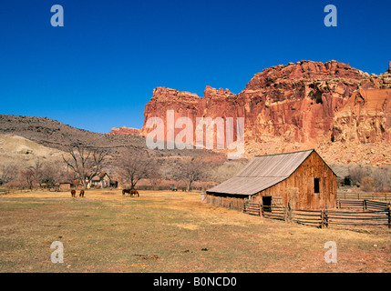 Une vue de l'ancienne ferme un Mormon Gifford ferme dans le mormon règlement de Fruita dans Capitol Reef National Park Banque D'Images