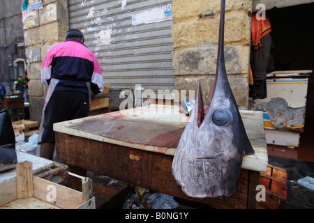La Pescheria, le marché au poisson, Catane, Sicile, Italie Banque D'Images