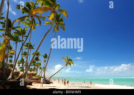 Plage tropicale avec palmiers sur l'île des Caraïbes Banque D'Images