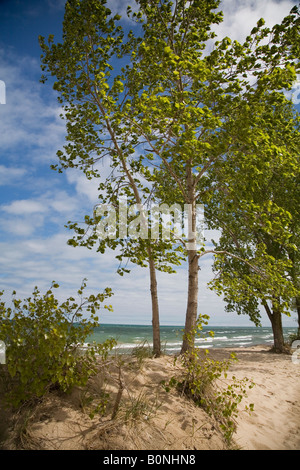 Beverly Shores Indiana Indiana Dunes National Lakeshore, à l'extrémité sud du lac Michigan Banque D'Images