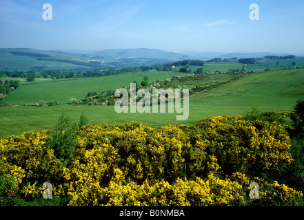 Vue depuis la colline de Selkirk, donnant sur le golf Banque D'Images