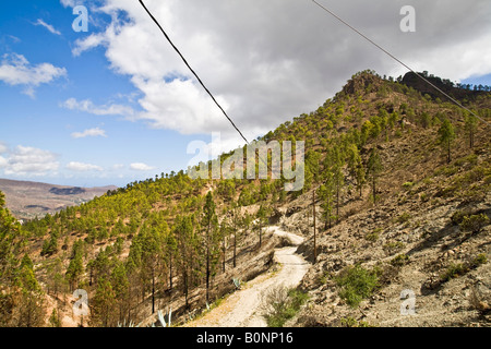 Paysage de montagne entre Fataga et San Bartolome Grande Canarie Banque D'Images