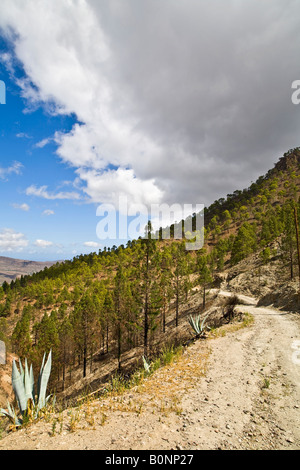 Paysage de montagne entre Fataga et San Bartolome Grande Canarie Banque D'Images