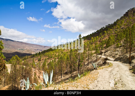 Paysage de montagne entre Fataga et San Bartolome Grande Canarie Banque D'Images