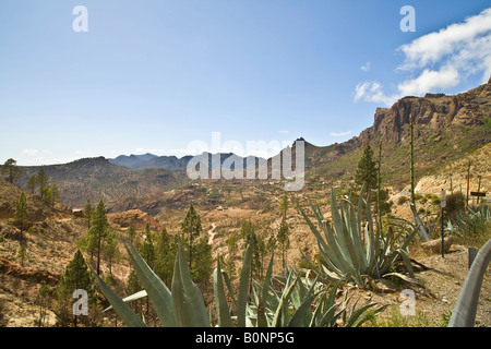 Paysage de montagne entre Fataga et San Bartolome Grande Canarie Banque D'Images