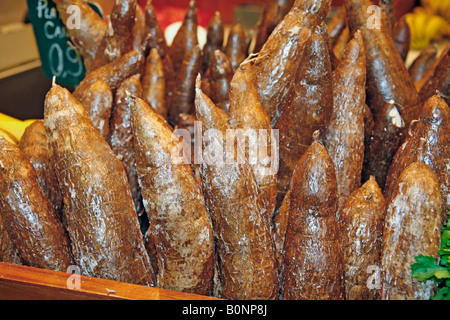 Yuca Le marché de la Boqueria Barcelone Espagne Banque D'Images