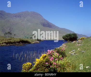 Connemara - vue pittoresque de Lough Fee Banque D'Images