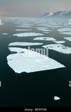 Flocons de glace en Billefjorden à Monte Carlo, région, la Norvège. Banque D'Images