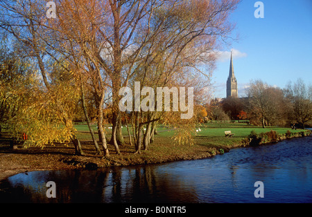 Voir l'automne de la cathédrale de Salisbury et l'Avon à partir de l'eau Meadows Banque D'Images