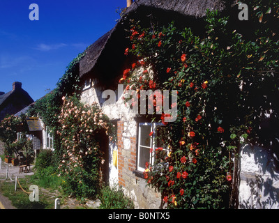 Jolis cottages dans la localité sur l'île de Wight Banque D'Images