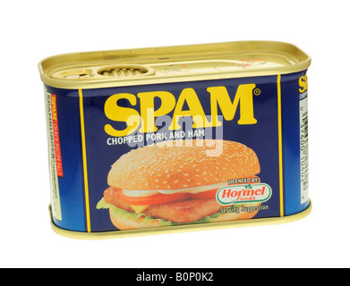 Boîte de Spam, fait de la forme hachée porc et jambon et introduit pour la première fois en 1937 Banque D'Images