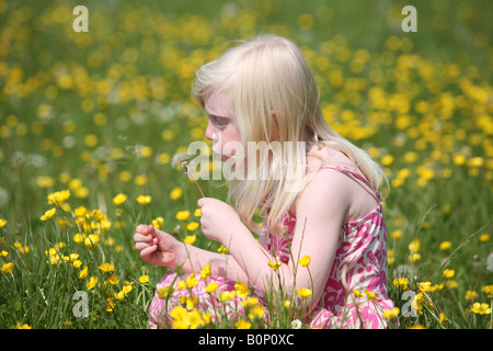 Petite fille blonde soufflant un Pissenlit réveil Banque D'Images