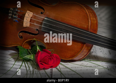 Instrument de la musique de violon avec une rose Banque D'Images