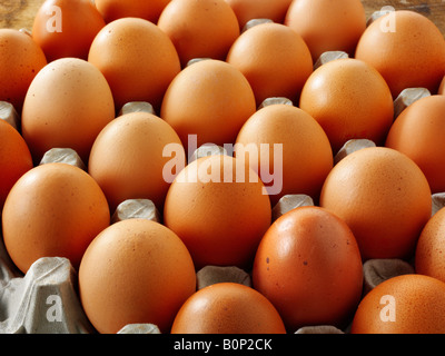 Un bac de matières organiques fraîches gamme libre brown les oeufs de poule Banque D'Images