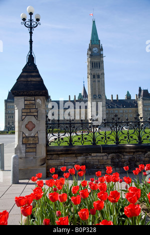 Ottawa Édifice du Parlement et la tour de la paix avec des tulipes à Ottawa Ontario Canada Banque D'Images