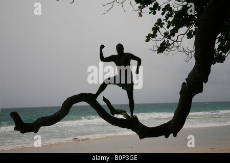 Balancing act- un homme debout sur une branche à Havelock island, Antarctic, Inde Banque D'Images