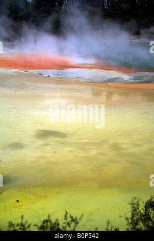 Piscines géothermiques au wai-o-tapu, près de Rotorua, île du Nord, Nouvelle-Zélande Banque D'Images