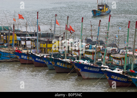 Les bateaux de pêche en bois, attendre la fin de tempête à port, Zhujijian, Village de l'archipel Zhoushan, dans la province du Zhejiang, Chine Banque D'Images