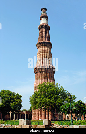 Delhi. Qûtb minâr vue générale. Banque D'Images