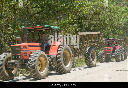 COSTA RICA Les tracteurs agricoles au transport de la canne au moment de la récolte dans la région de la vallée centrale de la province de Cartago Banque D'Images