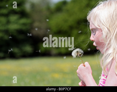 Petite fille blonde soufflant un Pissenlit réveil Banque D'Images