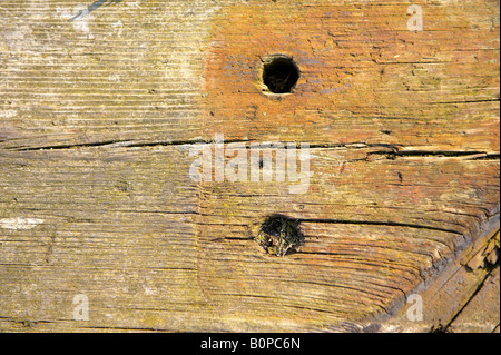 Close up of a weathered wooden sleeper Banque D'Images