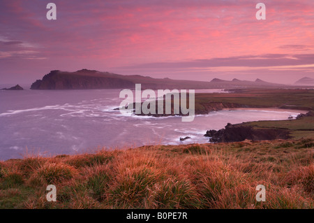 L'aube à Clogher Head, à la pointe et la Sibylle vers trois Sœurs, péninsule de Dingle, comté de Kerry, Irlande Banque D'Images