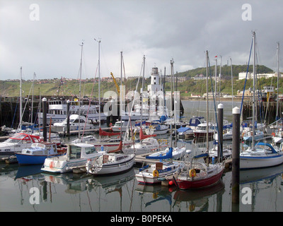 Yachts amarrés dans le port de Scarborough, North Yorkshire, Angleterre. Banque D'Images