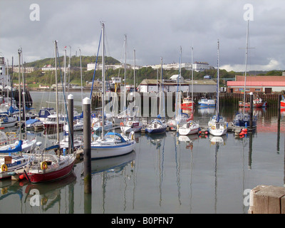 Les bateaux de pêche et yachts amarrés dans le port de Scarborough, North Yorkshire, Angleterre. Banque D'Images