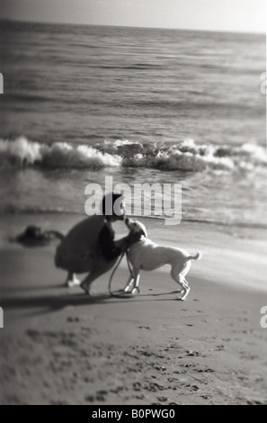 Jouer sur l'homme et le chien noir et blanc plage port Banque D'Images