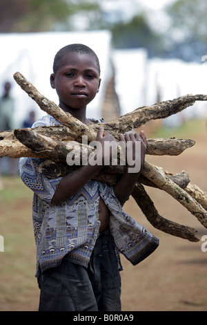 Jeune garçon réfugié Kenyan withe fire wood (personnes déplacées à l'intérieur  = pdi) dans le camp de réfugiés, forêts brûlées, Eldoret Banque D'Images