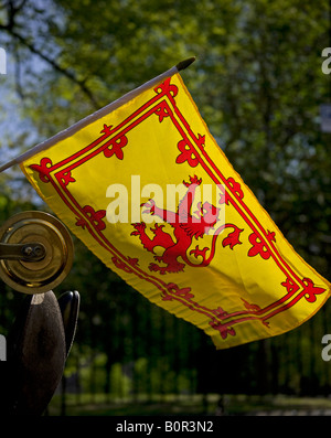 Lion rampant drapeau, Édimbourg, Écosse, Royaume-Uni, Europe Banque D'Images