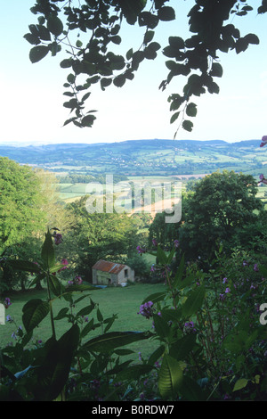 Vale Marshwood, West Dorset. Banque D'Images